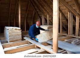 Best Eco-Friendly or Green Insulation Solutions  in Batavia, IL